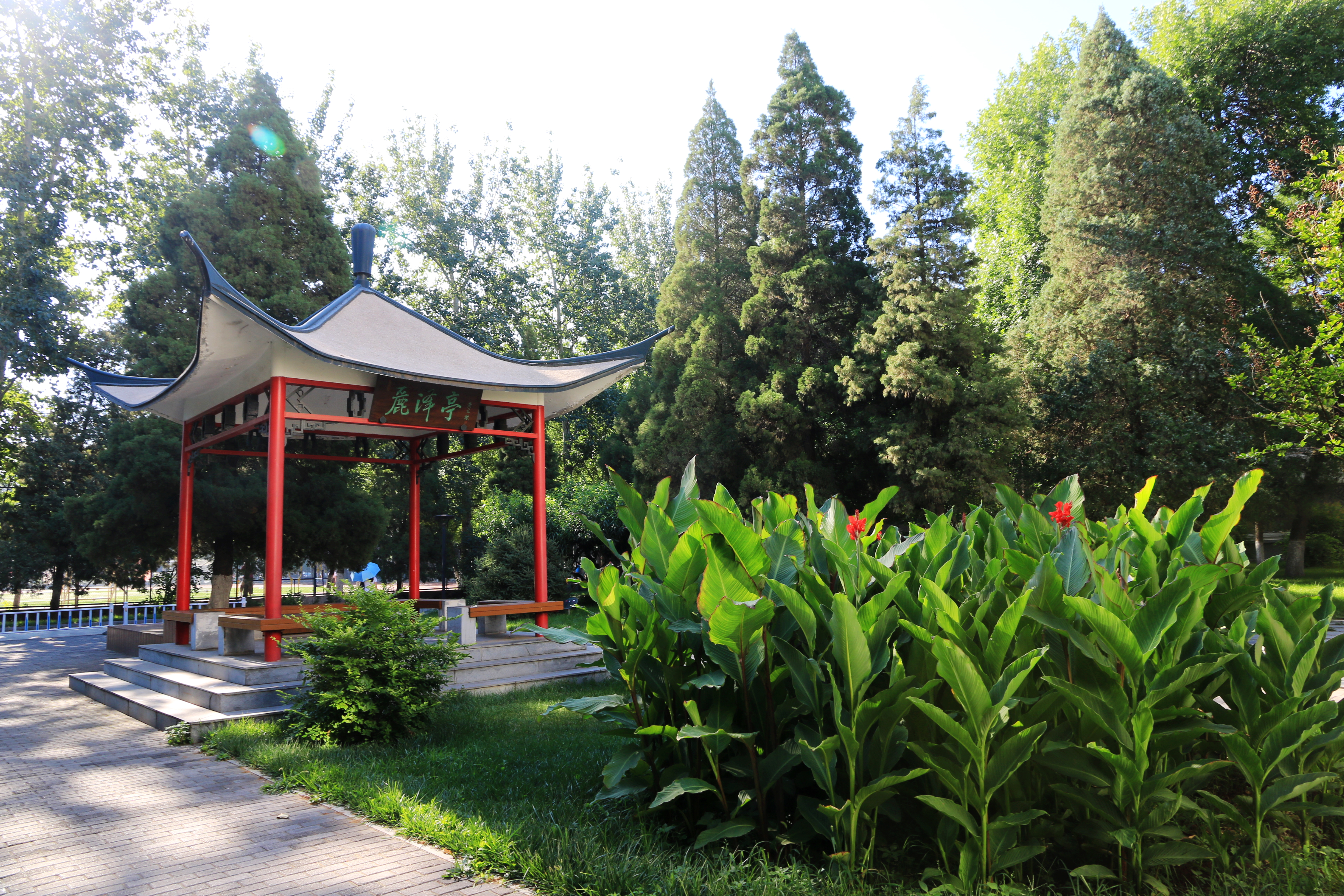 世界杯赛事官网